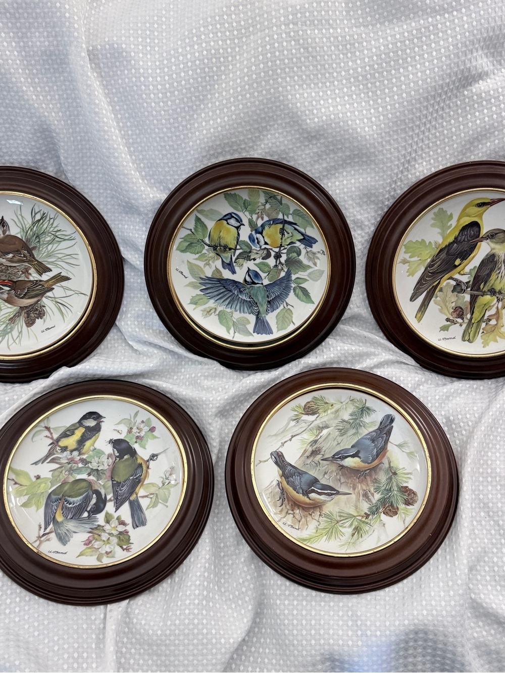 Vintage Alt Tirschenreuth Germany WWF European Songbirds Plate Set of 5 framed
